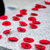 Remembrance Day 2024